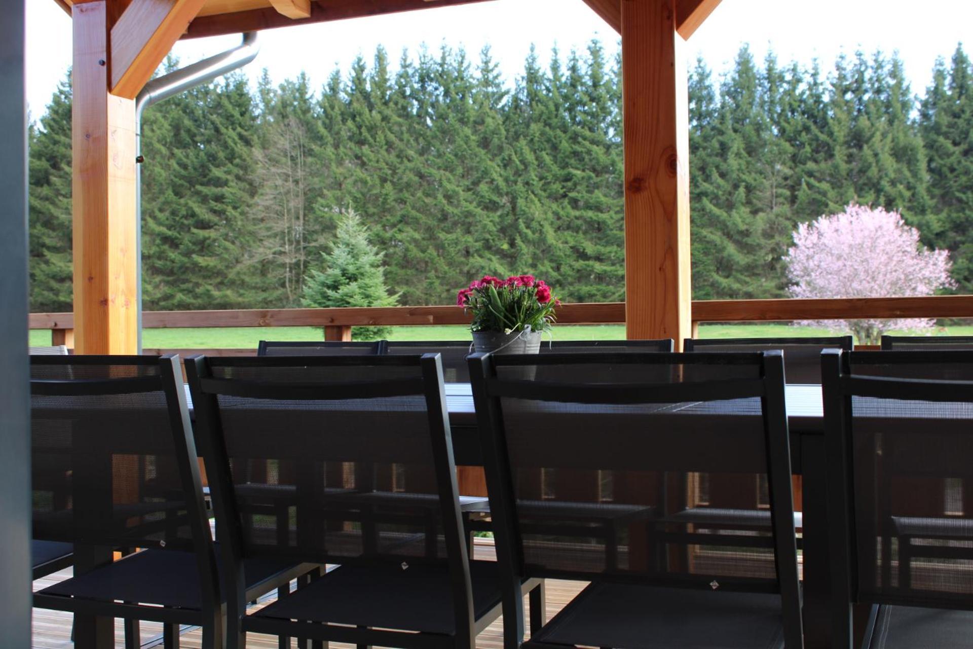 Chalet L'Oseraie, Location Touristique Spa 4 Etoiles Au Coeur Des Vosges Le Saulcy Eksteriør bilde